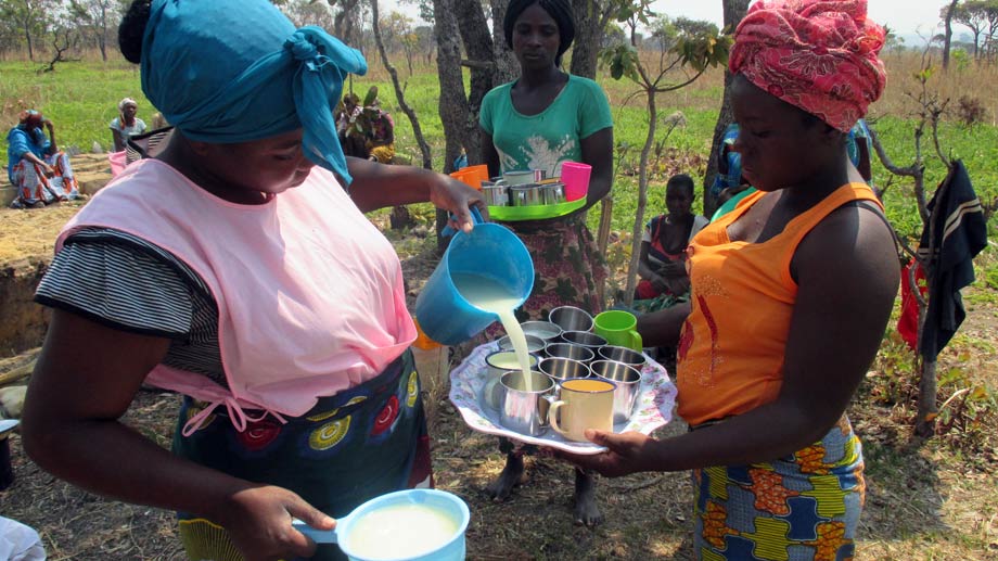 Leche de soja para combatir la desnutrición infantil en Angola